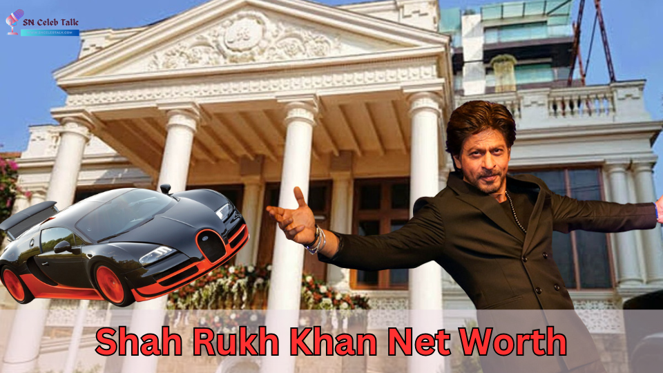 Shah Rukh Khan net worth